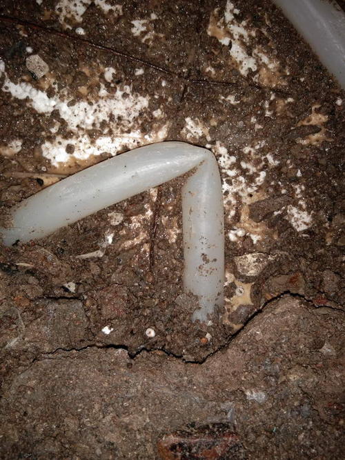 依兰堵点精准查找